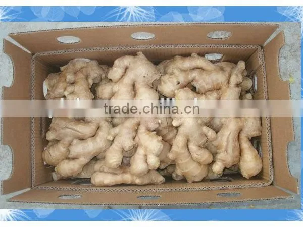 Organic Fresh Ginger photo-2