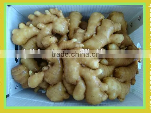 Organic Fresh Ginger photo-4