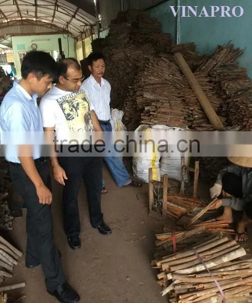 VIETNAM SPLIT CASSIA WITH BEST PRICE, HIGHT QUALITY photo-5