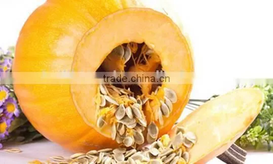 Unstaurated Fatty Acid Pumpkin Seed Essential Oil Cure Prostate Cancer photo-3