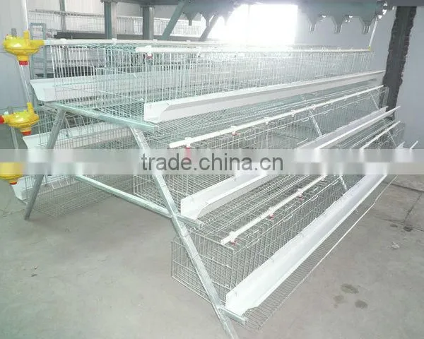 Layer Cages/Chicken Layer Cages/ Laying Chicken Cages