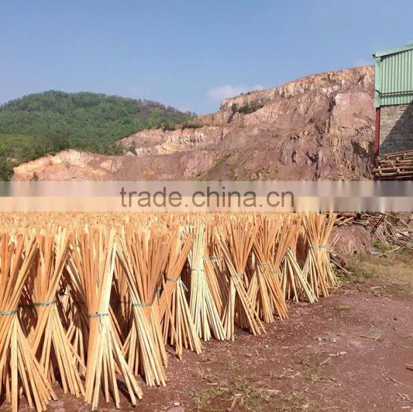 Striped Green Color Coated Wooden Broom Handle Only From KEGO Vietnam photo-3