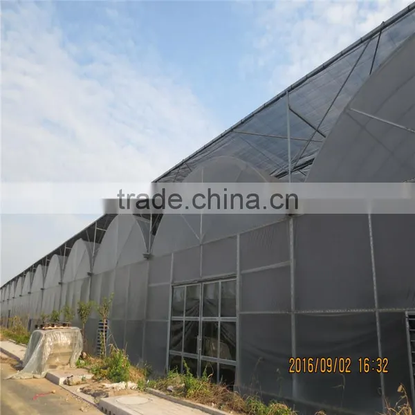 Factory Prices Non-wetting Mushroom Growing Greenhouse photo-6