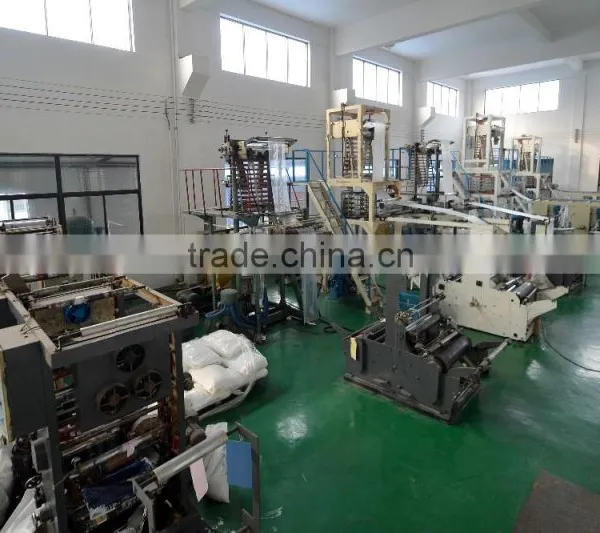 Special Design Hot Sell OEM Custom Printed Plastic Shopping Bag Carrier Bag Die Cut Plastic Bag photo-5