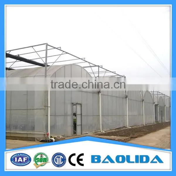 Agricultural Used Greenhouse Sale photo-3