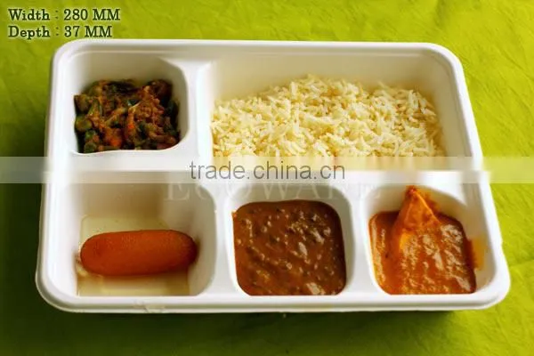 Food Containers and Plates photo-2
