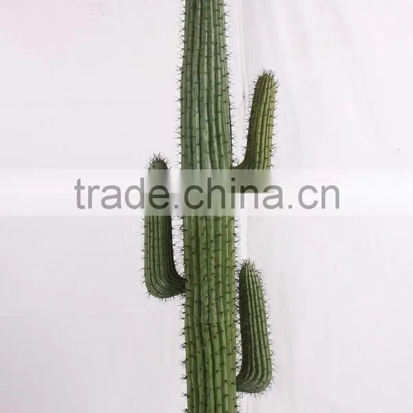 SJ3001014 Landscaping Ornament Cactus Plant/catos Green Plant photo-2