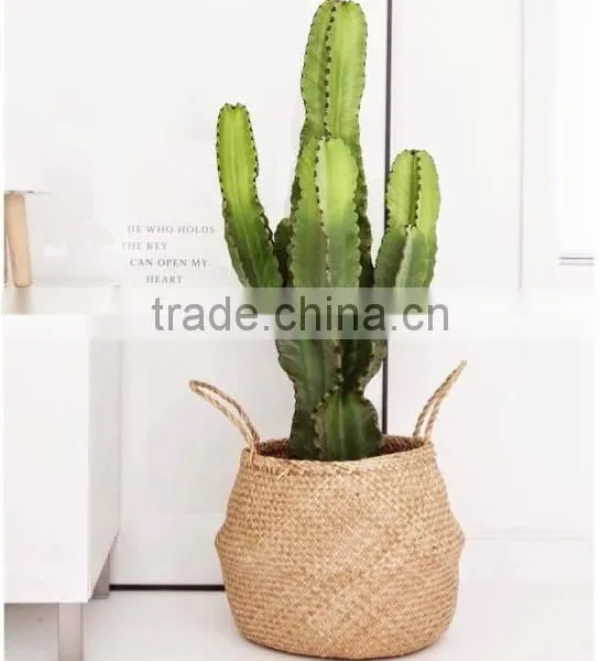 Natural Belly Seagrass Basket / Planter for Home Decoration photo-2