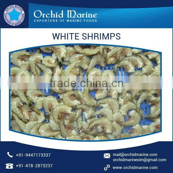 Premium Quality Natural Taste White Shrimps With Long Shelf Life photo-3