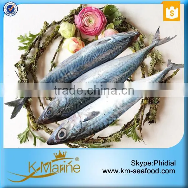 Wholesale Mackerel Frozen Foods photo-3