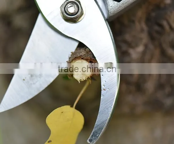 Hand Pruner and Garden Scissors Pruning Tool With Gold Coating photo-3