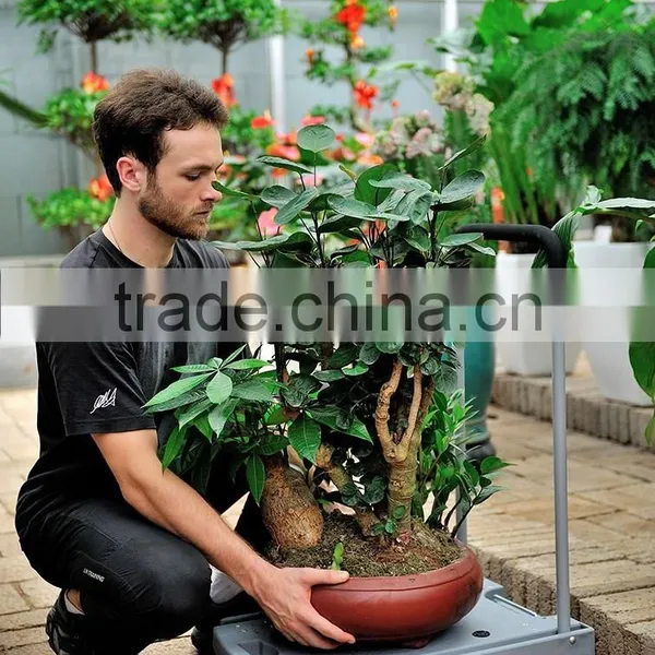 80kgs Plastic Luggage Hand Lift Trolley photo-4