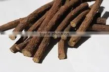Glycyrrhiza Glabra photo-3