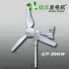 300W Wind Turbine/wind Generator/wind Power