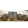 Chinese Ancient Lion Carving-eastcurio