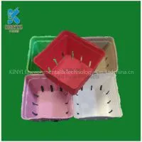Colorful Paper Pulp Molded Fresh Fruit Packaging Tray, Environmental and Biodegradable