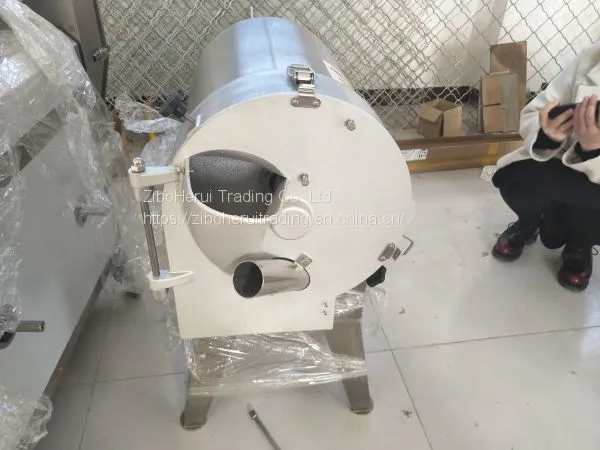 Fruit and Vegetable Cutting Machine Processing Line Made Out of SUS304 Stainless Steel photo-5