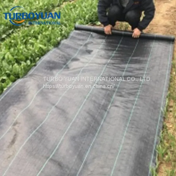 Black Plastic Weed Proof Mesh Mulching Fabric Weed Mats for Greenhouse photo-4