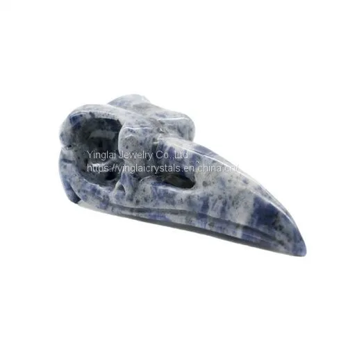 Raven Skulls photo-3