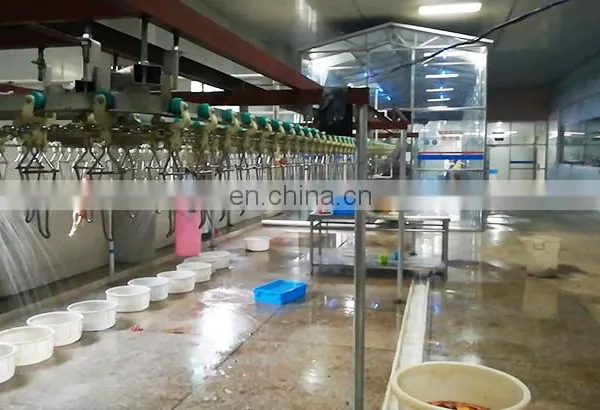 Mini Poultry Slaughter Equipment/duck Slaughter Machine Halal Chicken Slaughter Machine for Sale photo-3