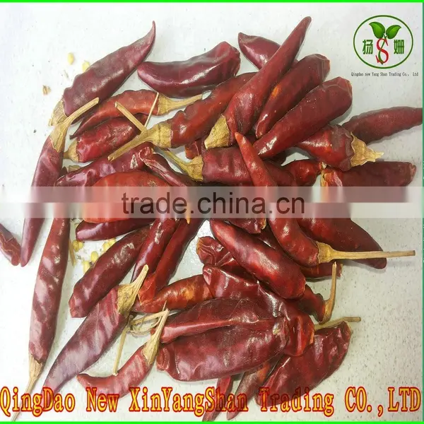 (HOT)small Hot Chili/hot Chilli Pepper/chaotian Chilli photo-2
