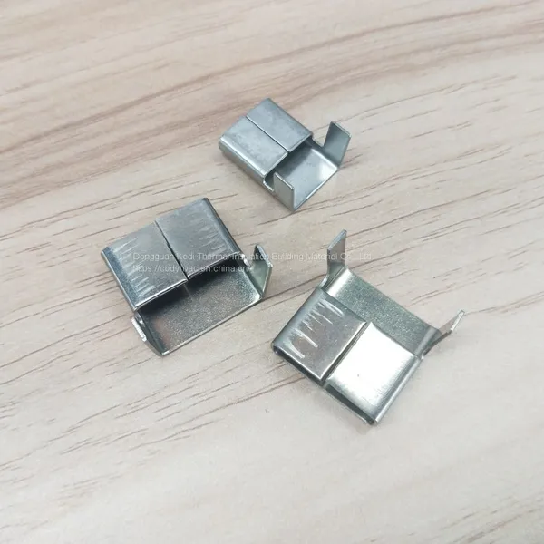 Ear Buckle photo-4