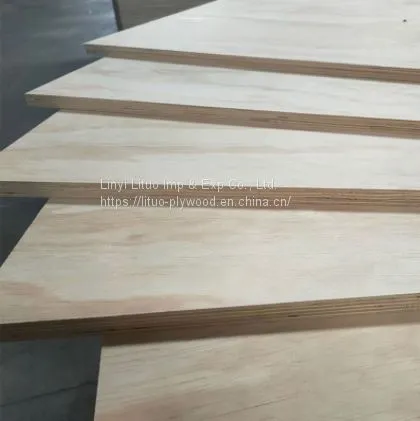 High Quality Pine Plywood photo-2