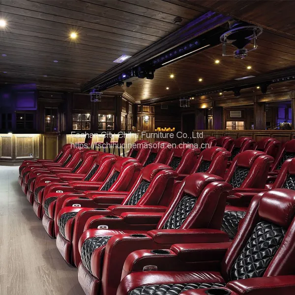 Popular Recliner Chair Modern Design Adjustable Headrest Single Private Cinema Seats photo-5
