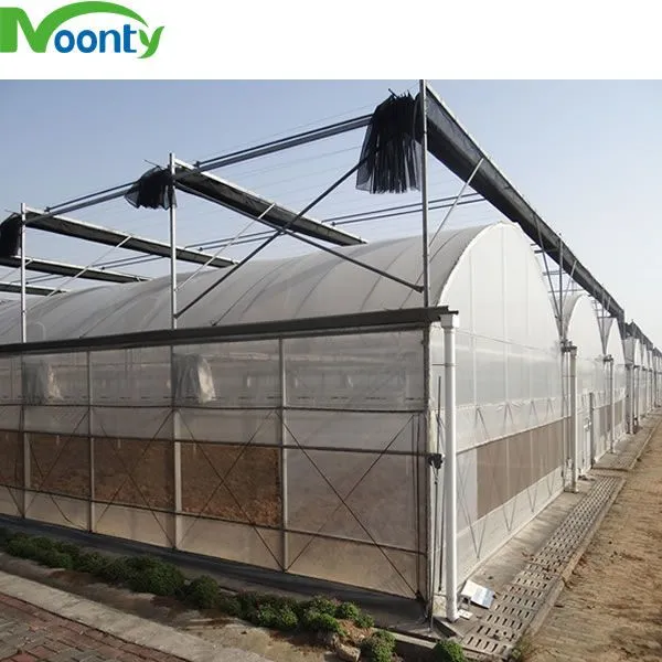 Commercial Use Agriculture Equipment PE Plastic Large Tunnel Vegetables Greenhouse photo-5