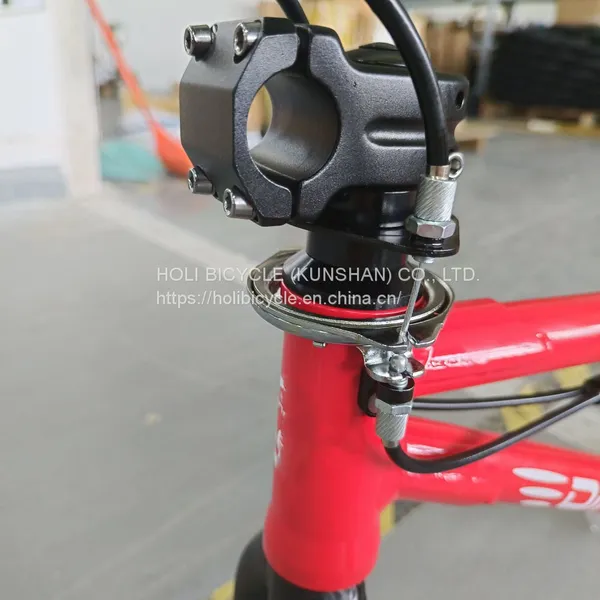 Aluminum Alloy Frame Kids Bicycle Al6061 OEM Children Bike BMX Children Bicycle photo-4