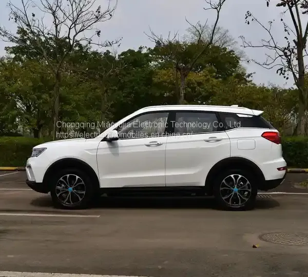 Alternative Fuel Vehicle Mustang Bojun EC60 China Factory Made EV Car 2022 SUV EV Cheap Best Price New Energy Vehicle photo-5