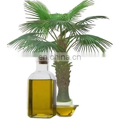 Hydraulic Edible Oil Palm Oil Pressing Machine Cold & Hot Pressing Machine photo-3
