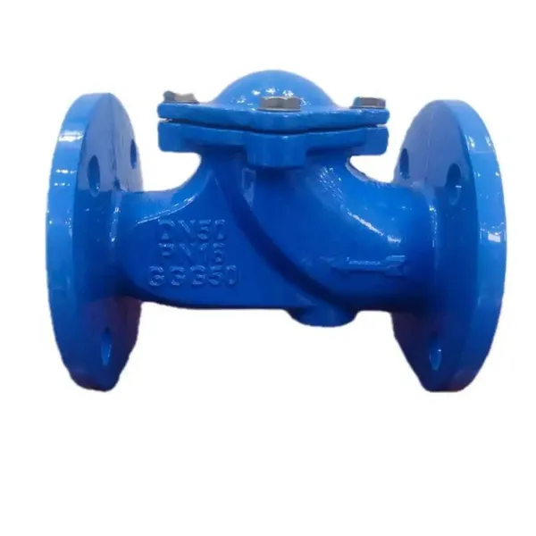 DIN 3202 Flange Cast Iron Ductile Iron GG25 GGG50 Check Valve PN16 Non Return Valve Ball Type Check Valve photo-4