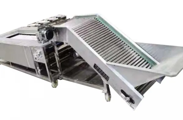 Avocado Fruit Sorting Grading Machine Sorter Grader Machine Line Classifying Machines photo-4