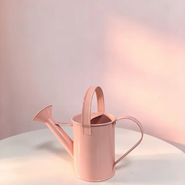 Pastel Pink Metal Watering Can, Small Iron Watering Pot With Double Handles for Indoor Plants & Home Decor