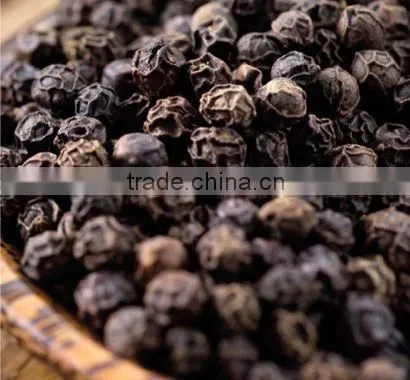 BLACK PEPPER 500/ 550GL- VIETMAMESE AGRICULTURAL PRODUCT photo-2