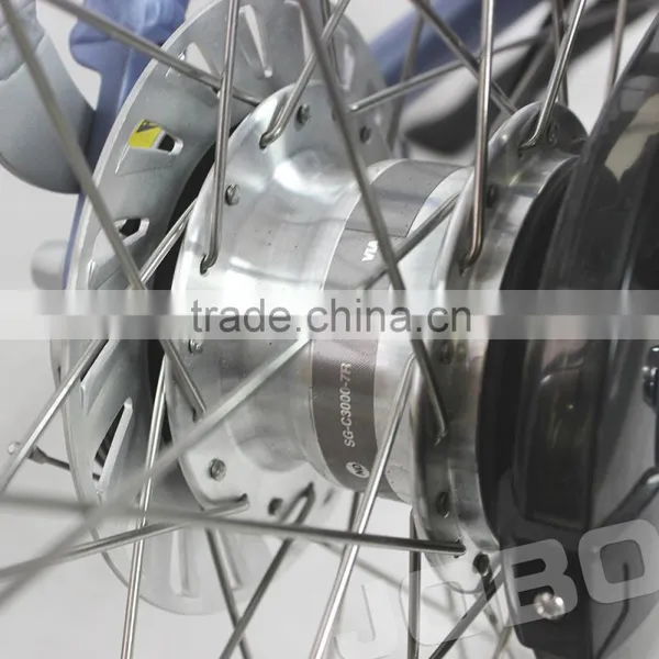 OEM Manufacture 2016 New Released Easy Riding Commuter Lady Type Electric Bicycle photo-4