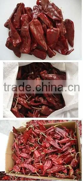 ASAT120~220, Moisture 14%max, Dried Red Chilli,Yidu Chilli Quality Choice photo-3
