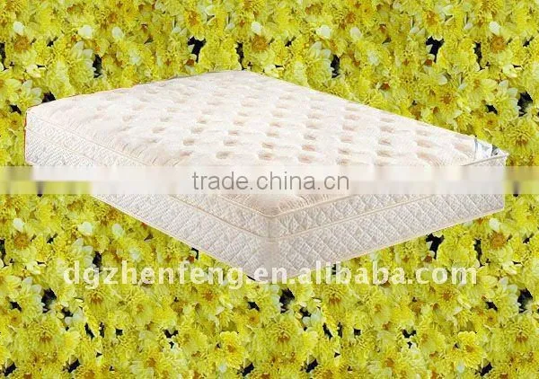 Foam Matress