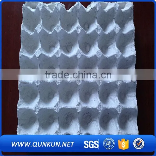 New Design Best Price Packaging for Chicken Eggs photo-5