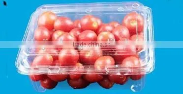 box,container, clame shell box