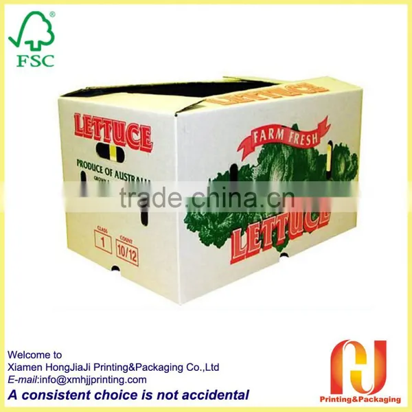 Durable Fruit Packaging Box photo-3