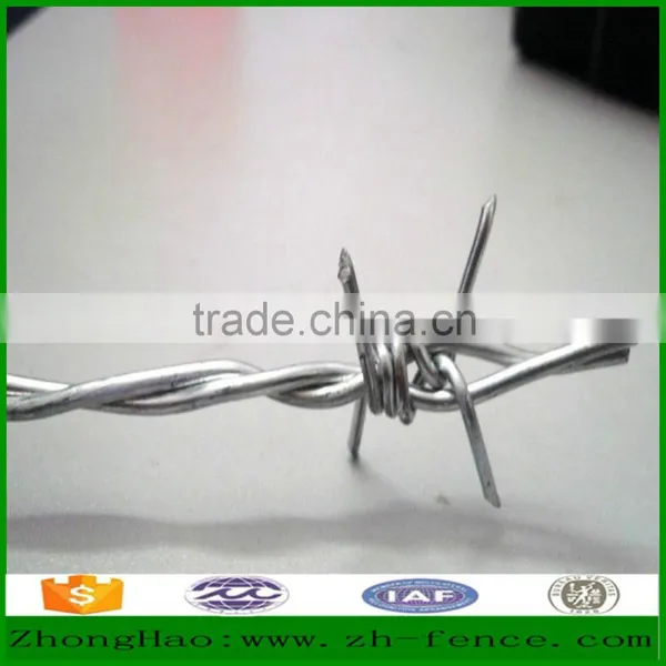 High Quality Hot Dipped Galvanized / PVC Coated / Low Carbon Wire Barbed Wire Fence photo-2