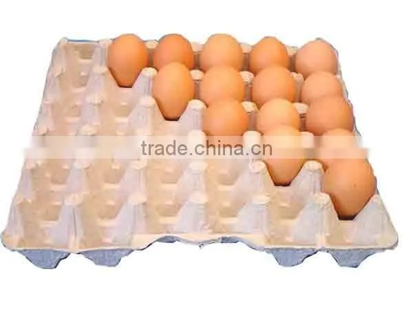 Molded Pulp Automatic Tray Seed Machine photo-5