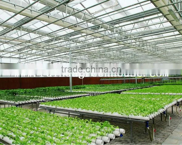 Vegetable-growing Greenhouse-commercial Greenhouses photo-5