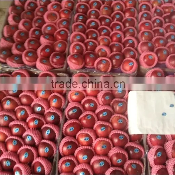 Chinese Huaniu Apple Exporting photo-4