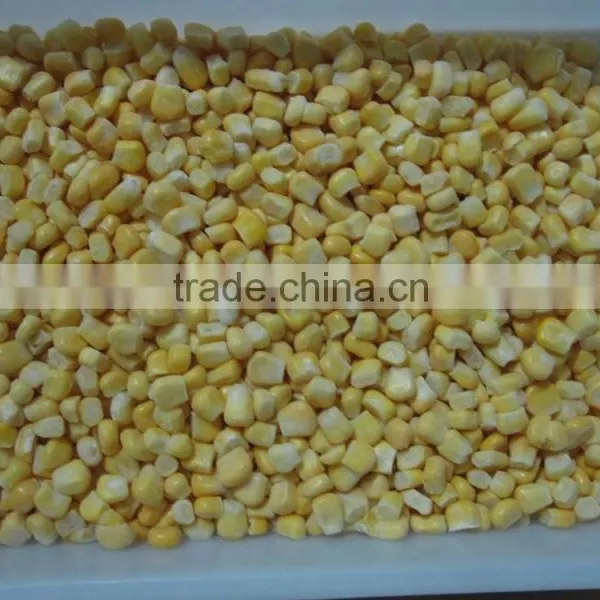 Non-GMO Frozen Sweet Corn Kernels IQF Sweet Corn Kernels photo-4