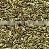Cumin Seed