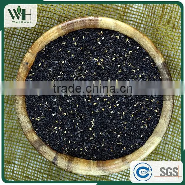 Paraguayan Sesame Seeds Manufacturers photo-5