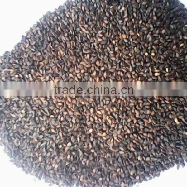 Brown Sesame Seed